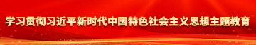 在线观看艹B啊啊啊学习贯彻习近平新时代中国特色社会主义思想主题教育